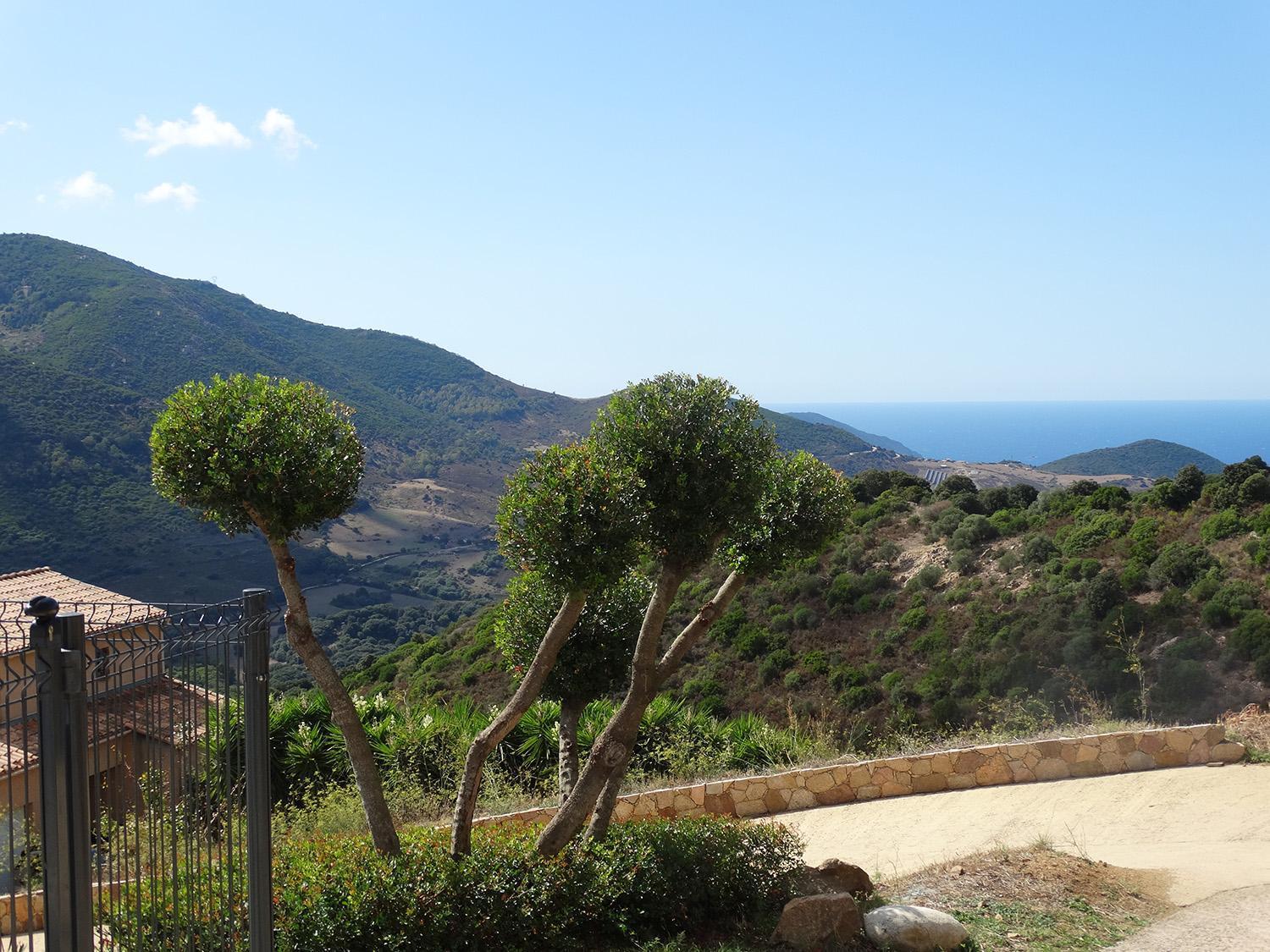 Sassone, Vue Panoramique Sur Ajaccio Et La Alata